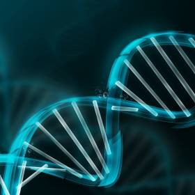 Генетический тест в четырех разных компаниях: личный опыт финского биохакера
