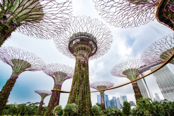 Парк Gardens by the Bay — футуристический культурный объект в центре Сингапура