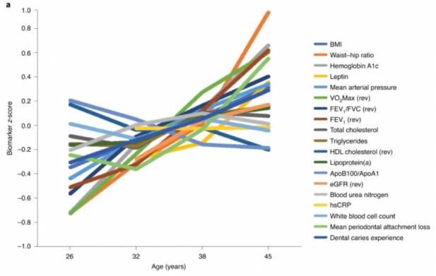 Так придумывали суррогатный маркер при разработке часов DunedinPACE. На первом этапе исследователи отобрали физиологические показатели, которые однонаправленно изменяются со временем, а дальше из них собрали модель, которая предсказывает хронологический возраст. Источник: Elliott et al., 2021.