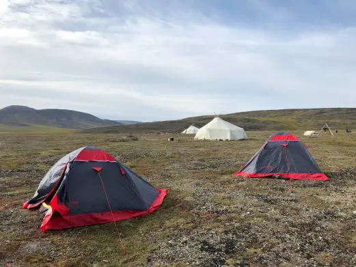 Ночь в тундре, Чукотка. Оленеводы разрешили разбить палатки рядом с ними