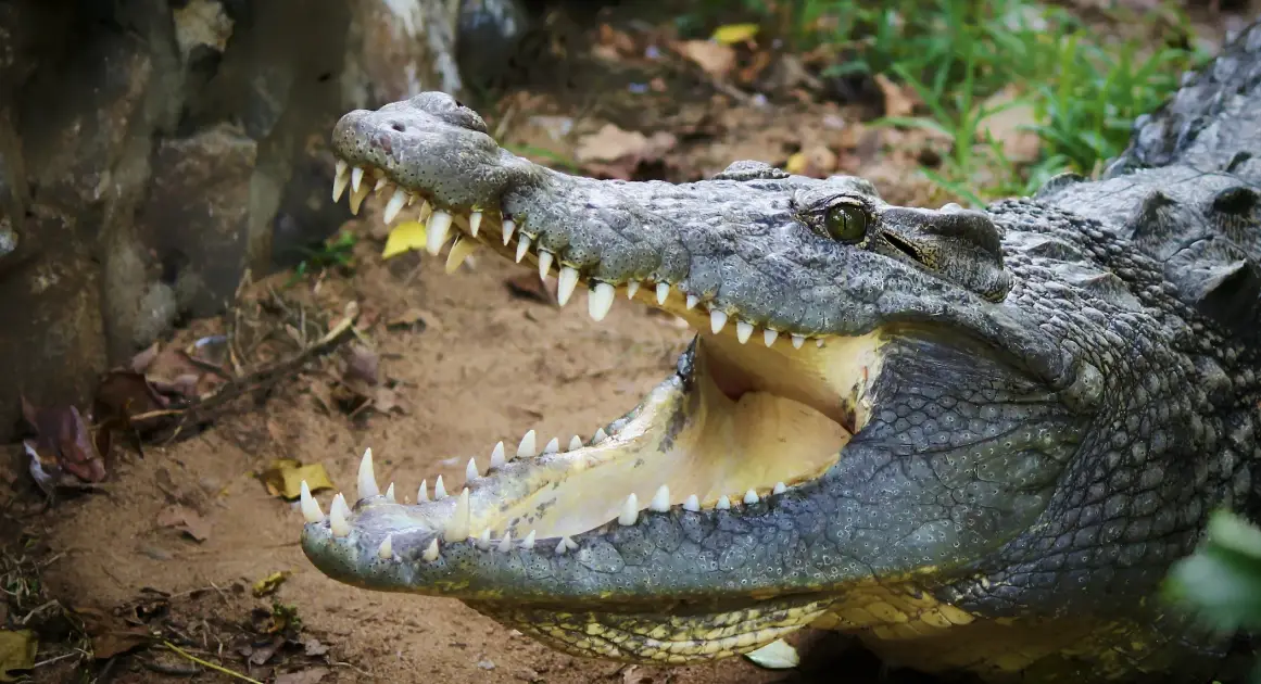 Память лучше хранит страшное и неприятное. Можно ли сместить баланс?