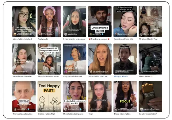 Самая вершина айсберга — первая страница результатов поиска microhabits в тиктоке.