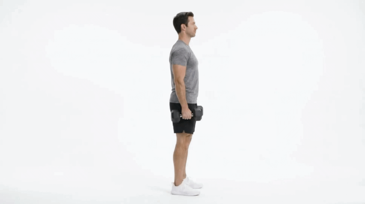 Как выполнять приседания с подъемом гантелей на бицепс