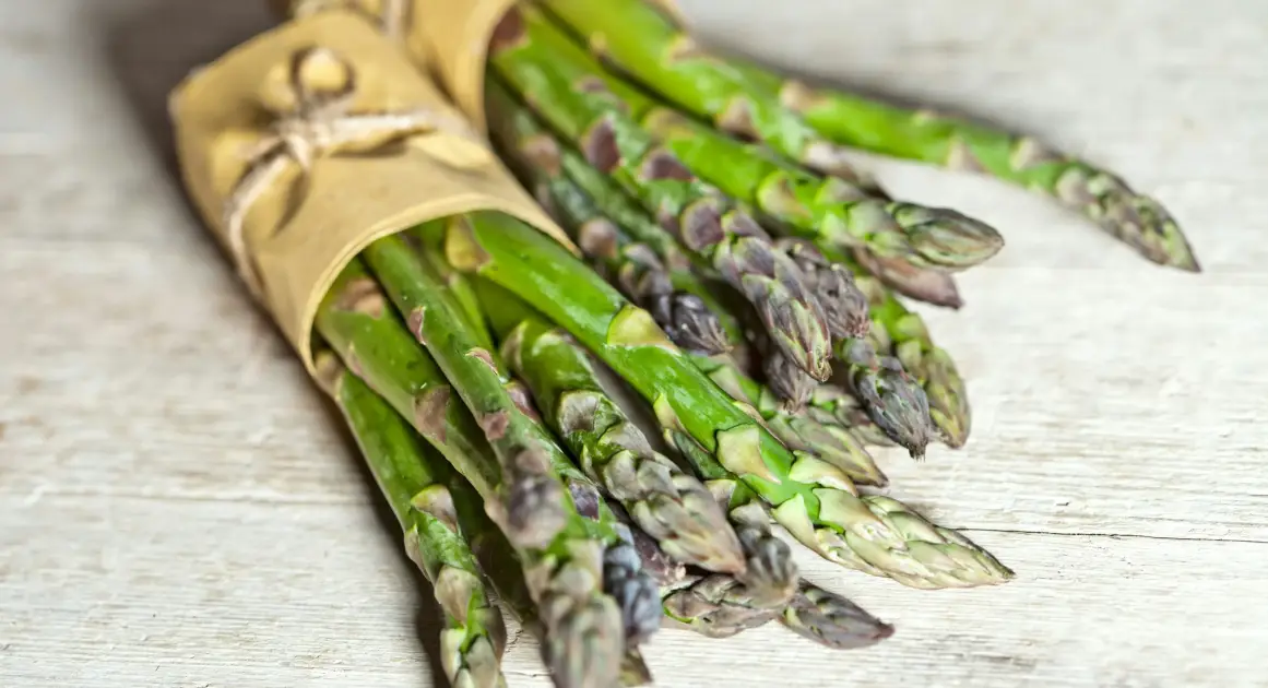 5 неожиданных фактов о «королевском овоще» — спарже
