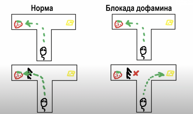 Слайд из презентации Владимира Алипова