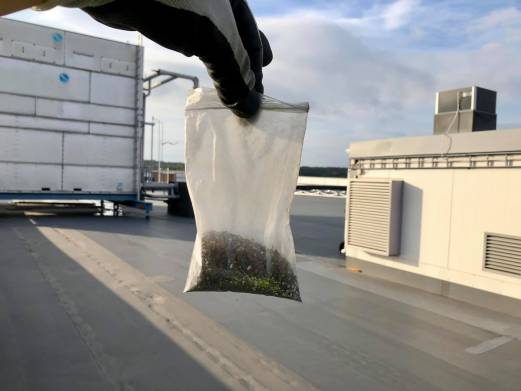 Звездная пыль что это такое. Смотреть фото Звездная пыль что это такое. Смотреть картинку Звездная пыль что это такое. Картинка про Звездная пыль что это такое. Фото Звездная пыль что это такое Звездная пыль что это такое. Смотреть фото Звездная пыль что это такое. Смотреть картинку Звездная пыль что это такое. Картинка про Звездная пыль что это такое. Фото Звездная пыль что это такое