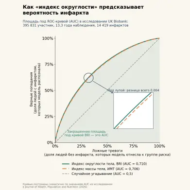 Как „индекс округлости“ предсказывает вероятность инфаркта