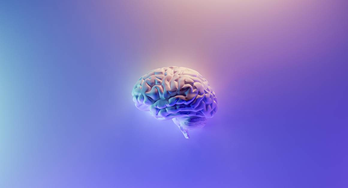 Как выглядит мозг бесстрашного человека — и можно ли сделать свой таким же?