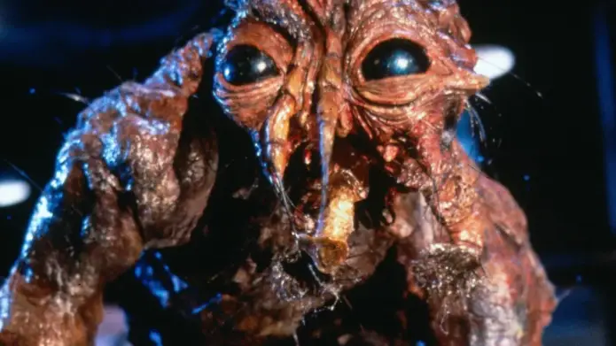 Так изобразил муху в своем фильме The Fly Film 1986 года Дэвид Кроненберг. Образ мухи как отвратительного и опасного существа, увеличенного до чудовищных размеров, сформировался в том числе благодаря кампании начала века ХХ века