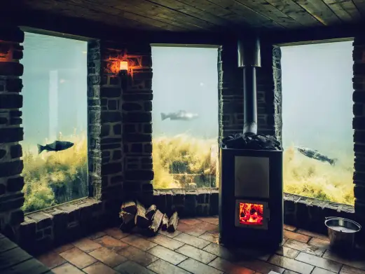 Отсюда можно наблюдать за радужными форелями, попивая игристое вино