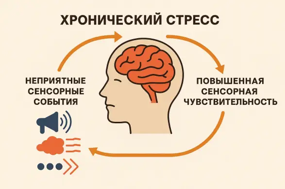 «Лавинный эффект» хронического стресса