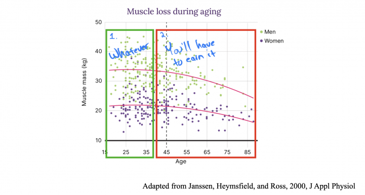 Изменение мышечной массы с возрастом у мужчин и женщин. После сорока мышцы нужно «зарабатывать» (You'll have to earn it).