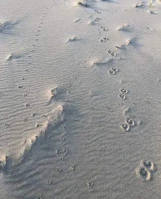 Побережье Японского моря возле поселка Хасан