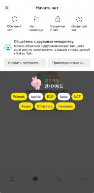 Часть интерфейса Kakao.Talk на корейском, но интуитивно функционал понятен