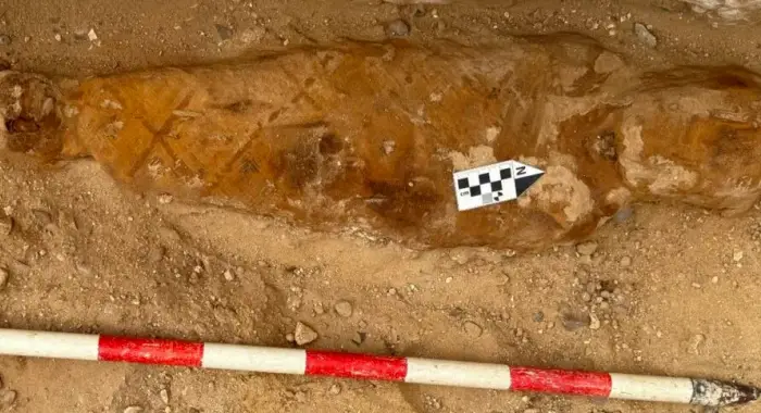 Археологи нашли в Египте мумию с «Илиадой» Гомера внутри