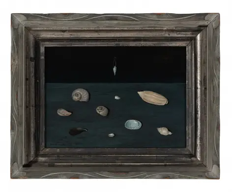 Alderman Merriam's Shells, 1951