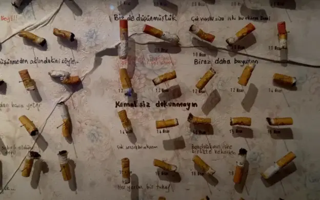 4213 окурков сигарет, по сюжету романа выкуренных возлюбленной героя Фюсун. Кемаль подбирал и хранил каждый после их встреч; все снабжены датой и пометками. Глава 83, последняя витрина музея.