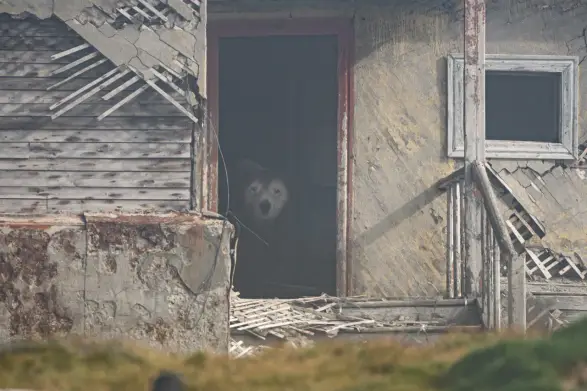 Заброшенная метеостанция, остров Колючин, Чукотка