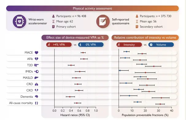В многофакторных моделях, скорректированных с учетом общего объема физической актвности, у участников с показателем интенсивной физической активности (VPA) >4% риск развития исследуемых заболеваний был на 29-61% ниже, чем у участников с показателем VPA 0%. 