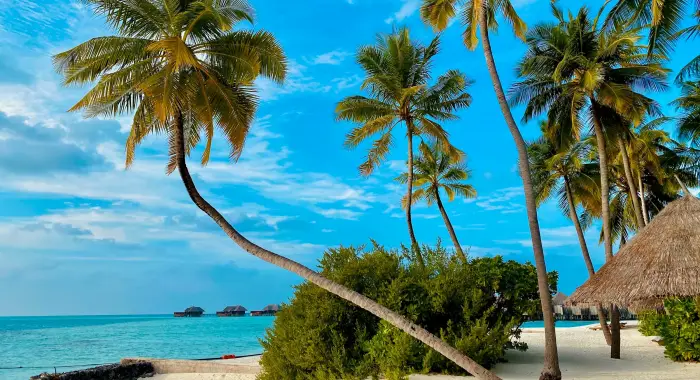 Туры на Мальдивы подешевели на 15%