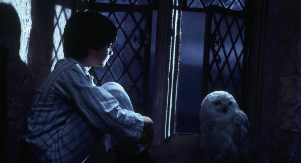 Нелюбимые дети и плохие учителя: герои «Гарри Поттера» на приеме у психотерапевта