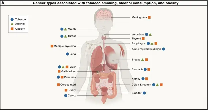Главные факторы возникновения рака, на которые мы можем повлиять.
