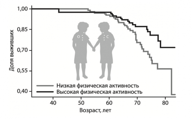 Влияние физической активности на продолжительность жизни. Кривые смертности гетерозиготных близнецов с 1990 по 2013 гг.