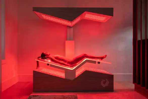 Устройство Ammortal Chamber