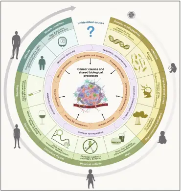 Экспосом — совокупность всех воздействий на человека от зачатия до смерти.