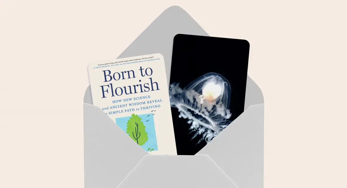 Соматические тренировки, вино против пива и будильник, который усыпляет