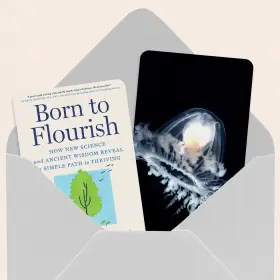 Соматические тренировки, вино против пива и будильник, который усыпляет