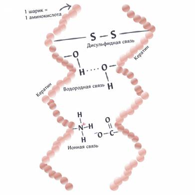 Какими тремя видами связей соединены кератиновые цепочки в волосе