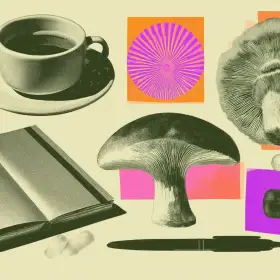 «Я 8 месяцев настраивал свой план долголетия. Вот, что реально работает»