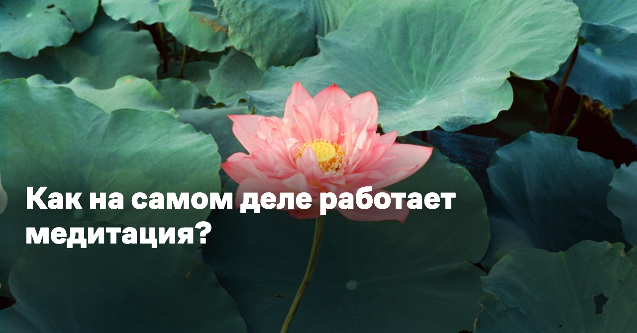 Обложка для статьи: Как на самом деле работает медитация?