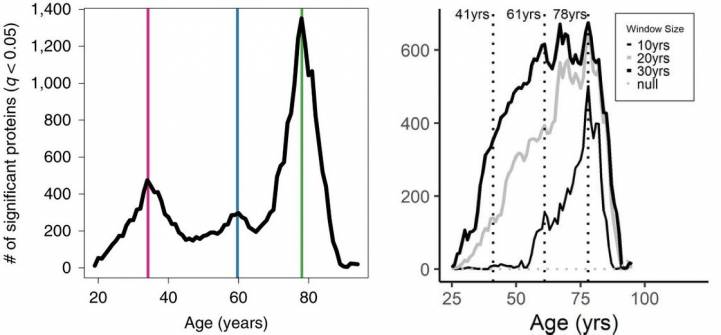 Пики изменений в предыдущих работах. Слева: Lehallier et al., 2019, справа: Tanaka et al., 2020.