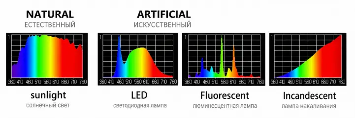 Сравнение естественного света и искусственного освещения: разный состав волн