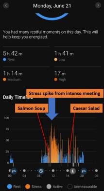 Пик стрессовой реакции пришелся на время между обедом и ужином — по данным Garmin.