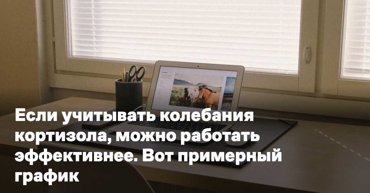 Обложка для статьи: Если учитывать колебания кортизола, можно работать эффективнее. Вот примерный график